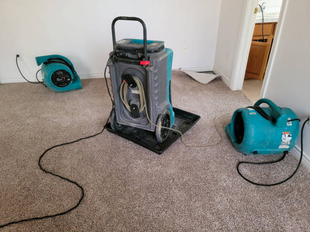 Best Water damage cleanup near me  in Coplay, PA