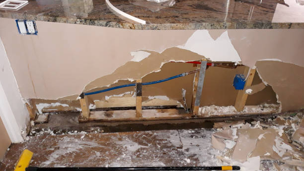 Best Sewage cleanup and water damage restoration  in Coplay, PA