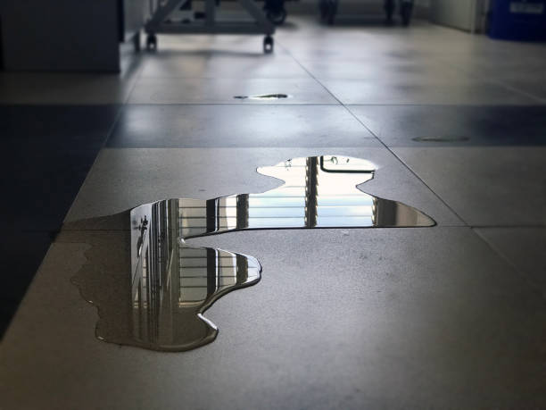 Best Water damage repair service  in Coplay, PA