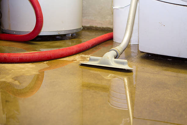 Best Emergency water extraction  in Coplay, PA