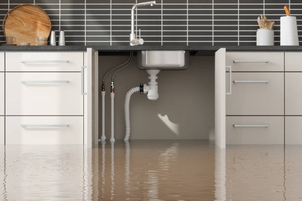  Coplay, PA Water damage restoration Pros