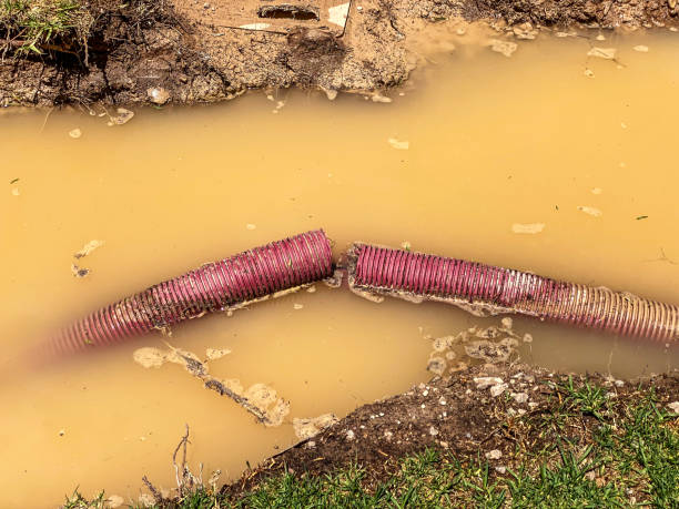 Best Water damage mitigation services  in Coplay, PA