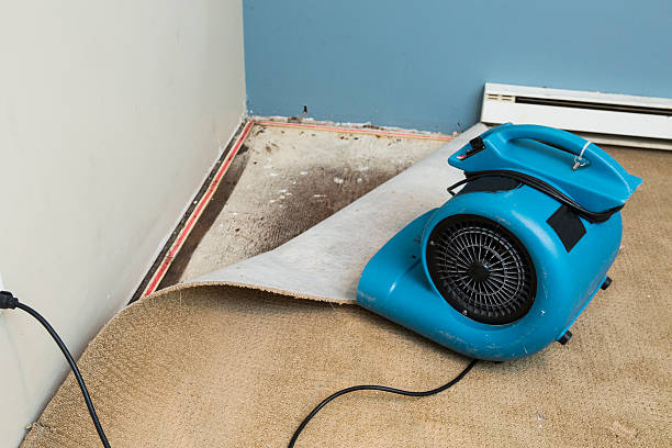 Best 24-hour water damage restoration  in Coplay, PA